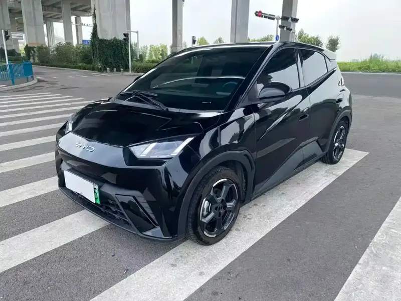 BYD Seagull