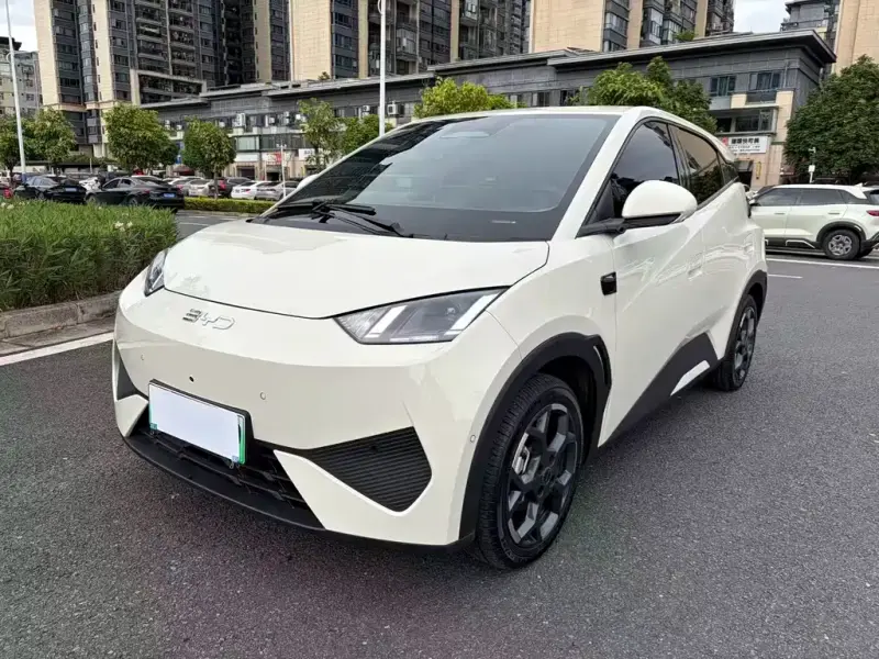 BYD Seagull