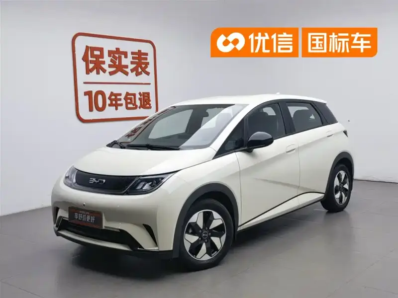 BYD Dolphin