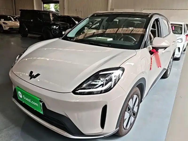 Wuling Bingo S