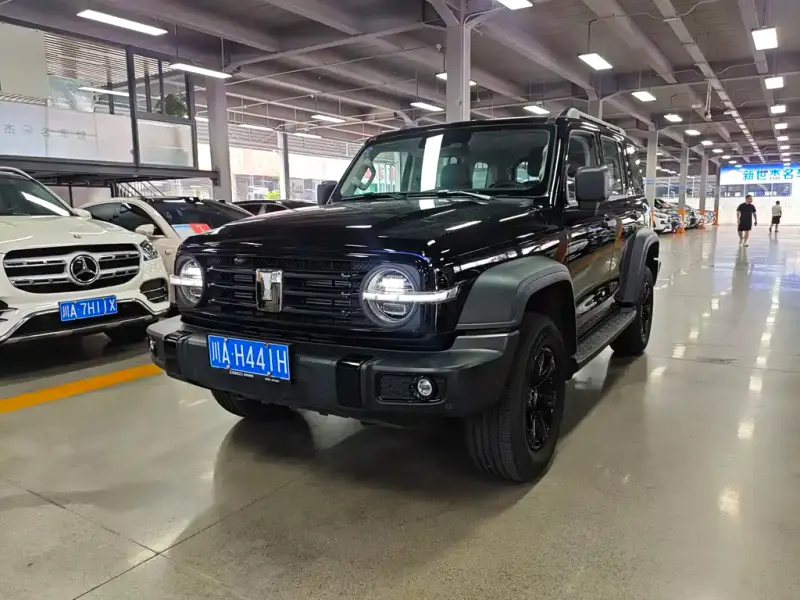Tank 300