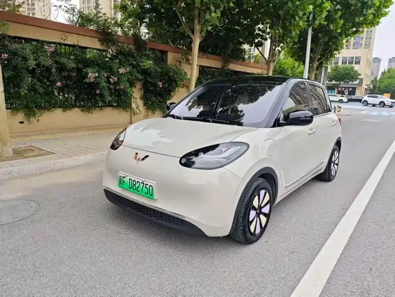 Wuling Bingo