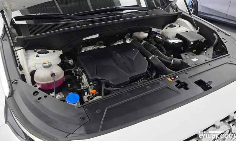 Hyundai Santa Fe (Santafe)