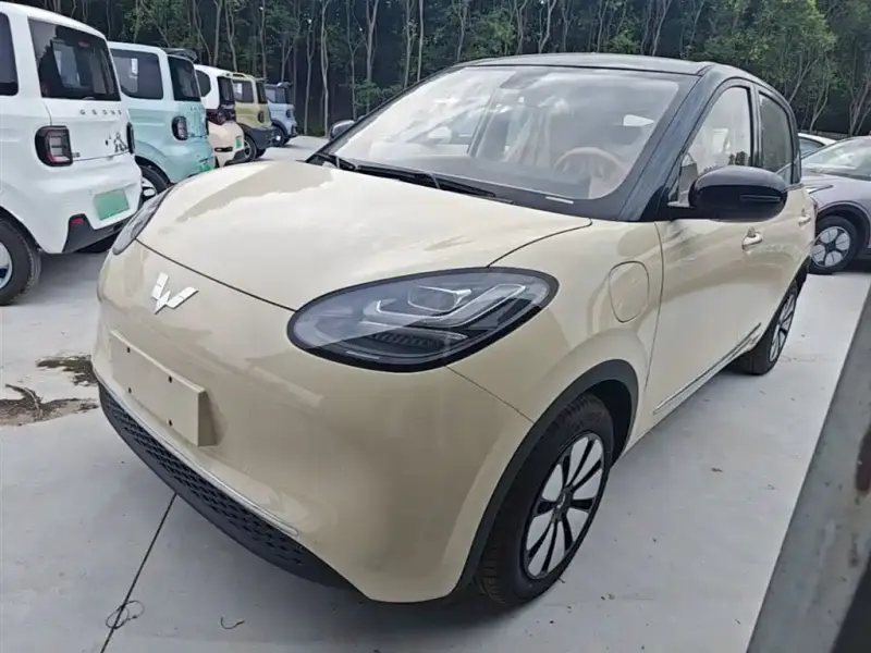 Wuling Bingo