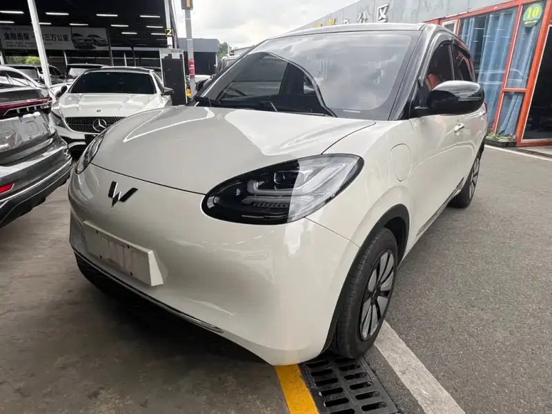 Wuling Bingo