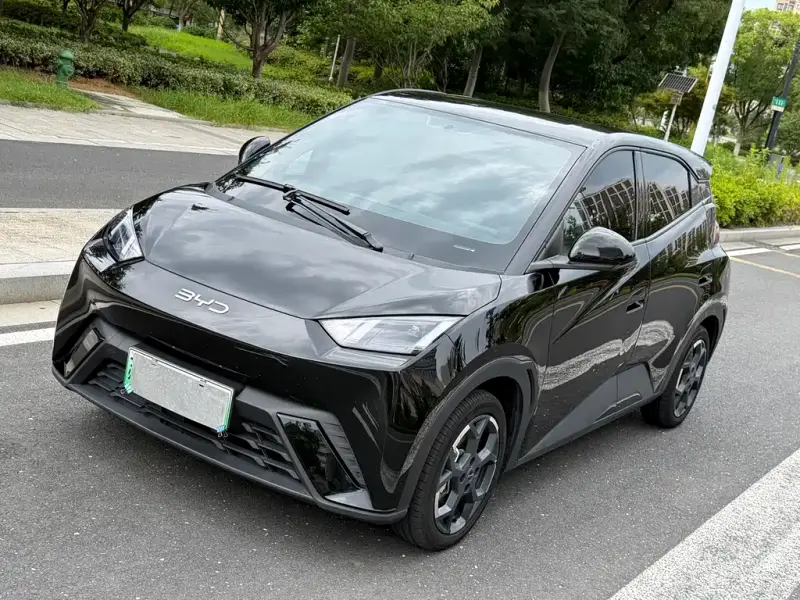 BYD Seagull