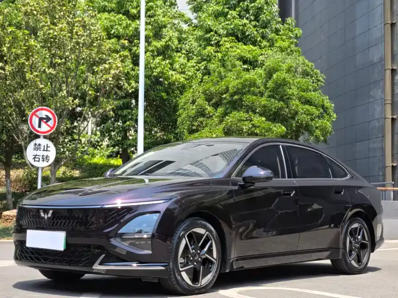 Wuling Starlight (Xingguang)