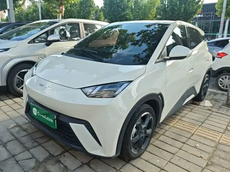 BYD Seagull