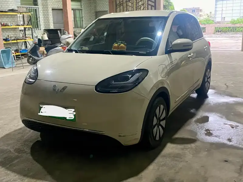 Wuling Bingo