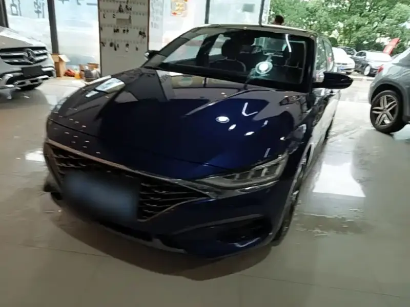 Hyundai Fista