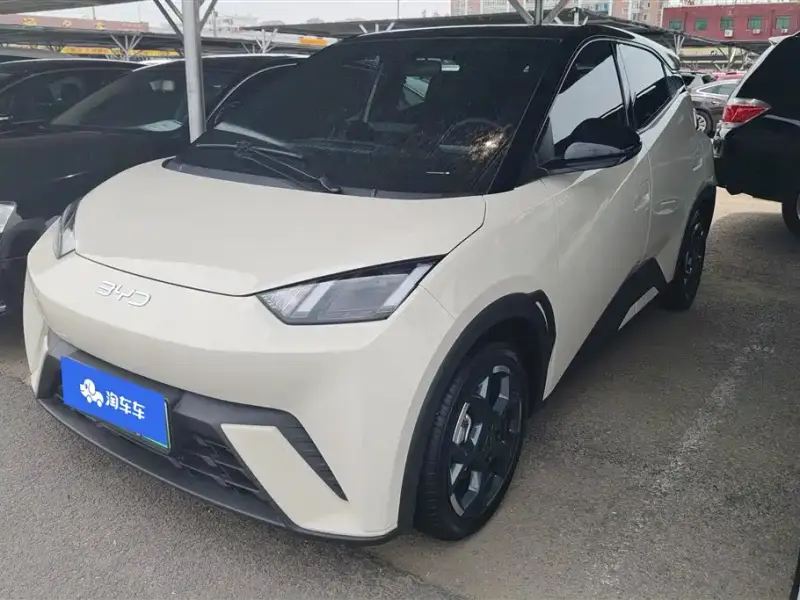 BYD Seagull