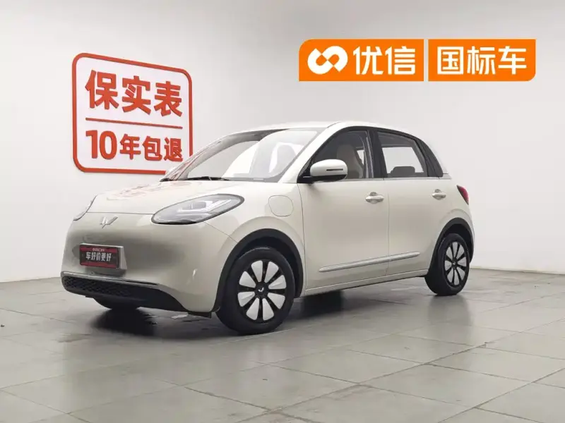Wuling Bingo