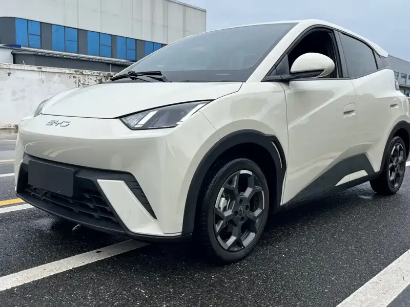 BYD Seagull