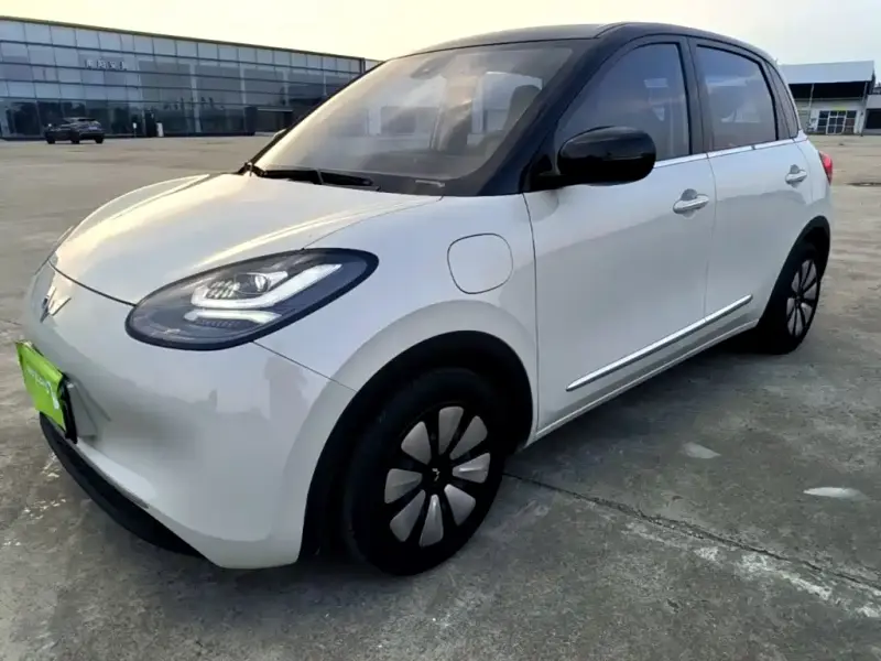 Wuling Bingo