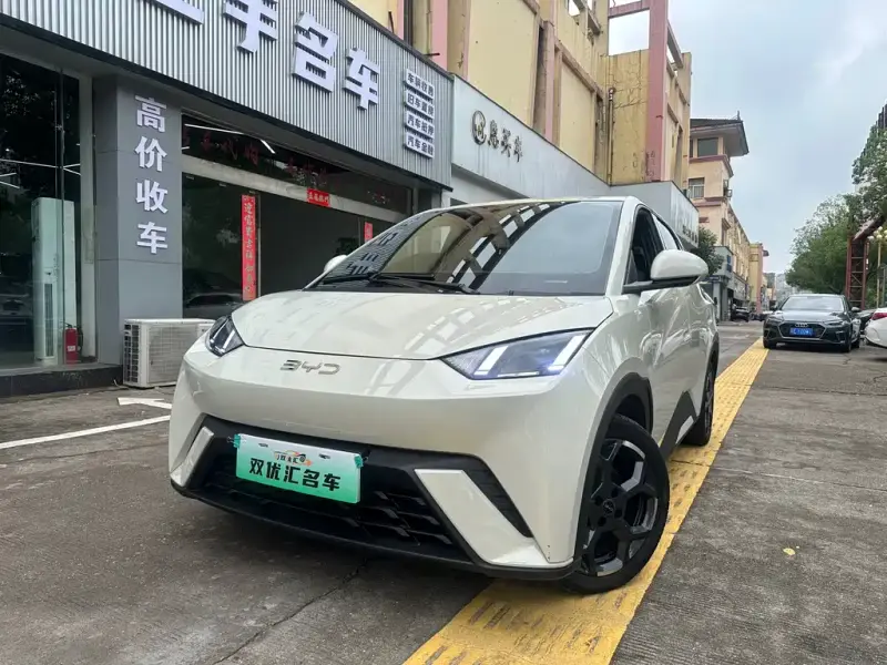 BYD Seagull