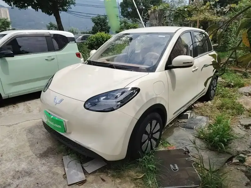 Wuling Bingo