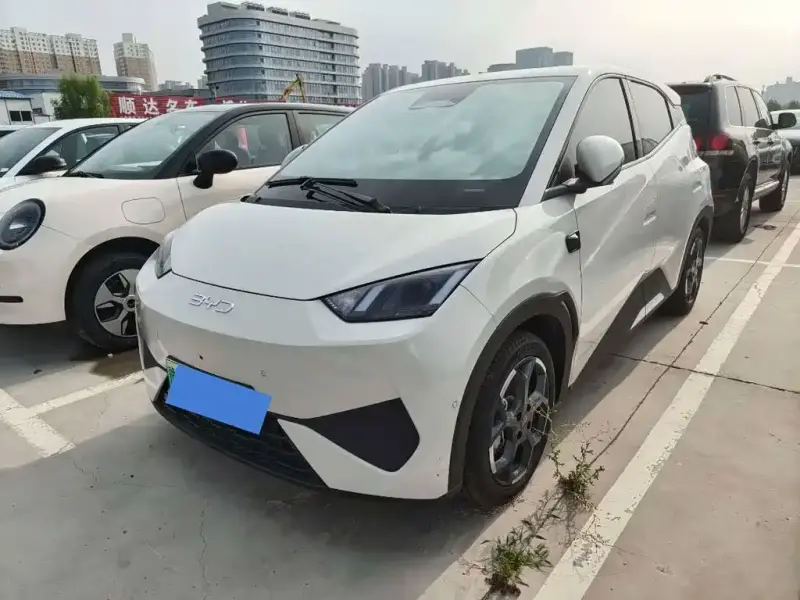 BYD Seagull