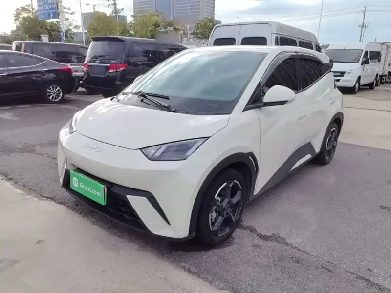 BYD Seagull