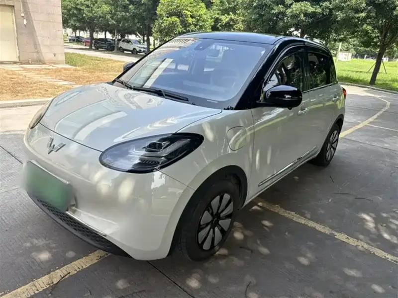 Wuling Bingo