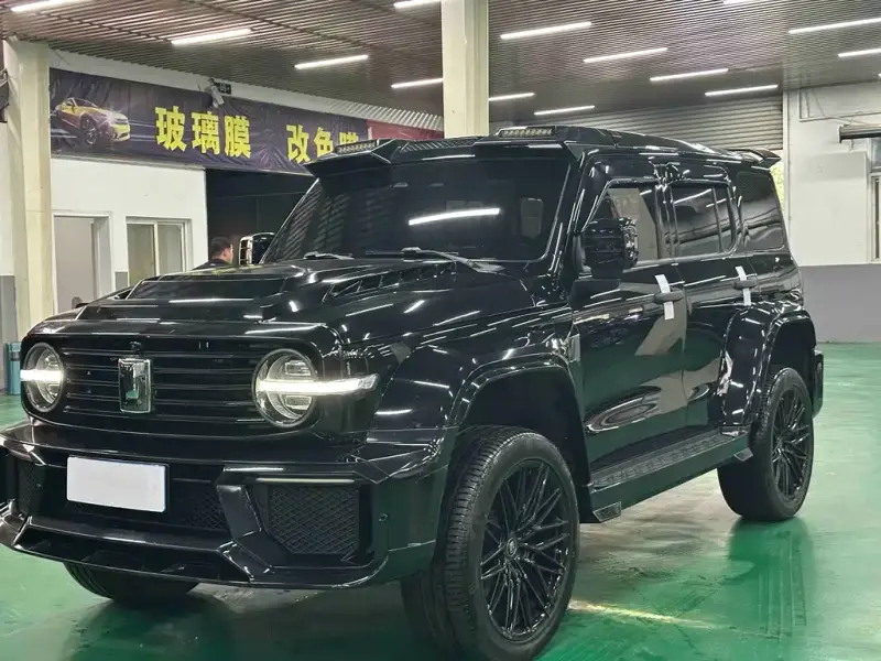 Tank 300
