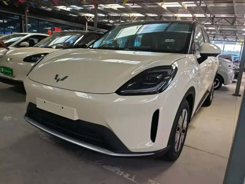 Wuling Bingo S