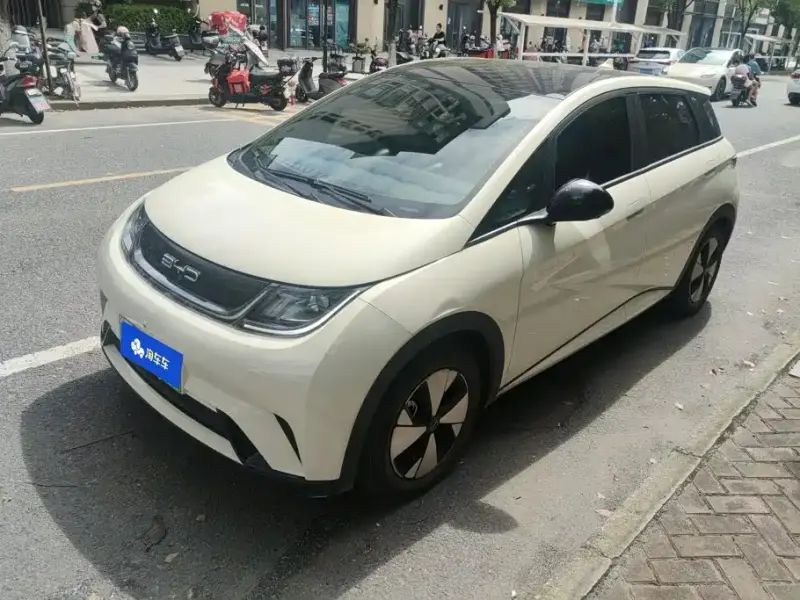 BYD Dolphin