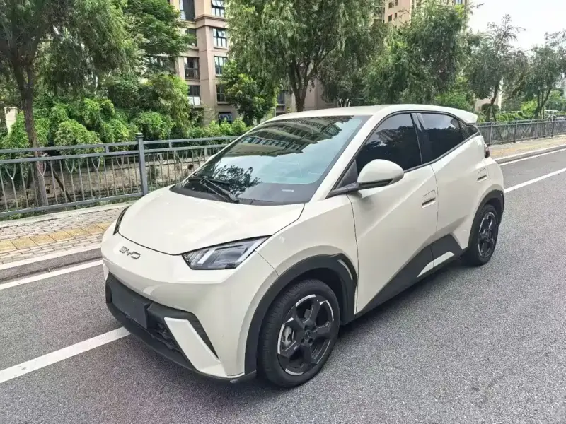 BYD Seagull