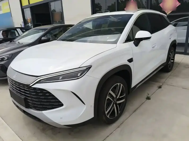 BYD L DM-i
