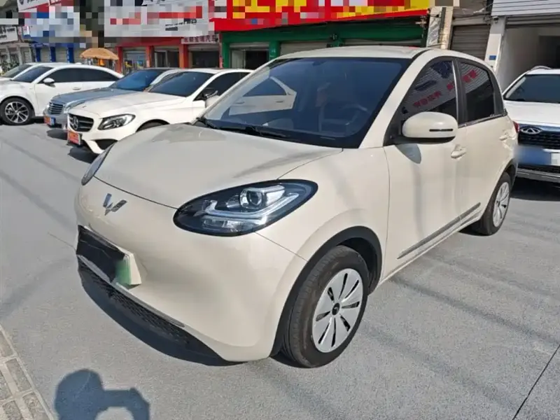 Wuling Bingo