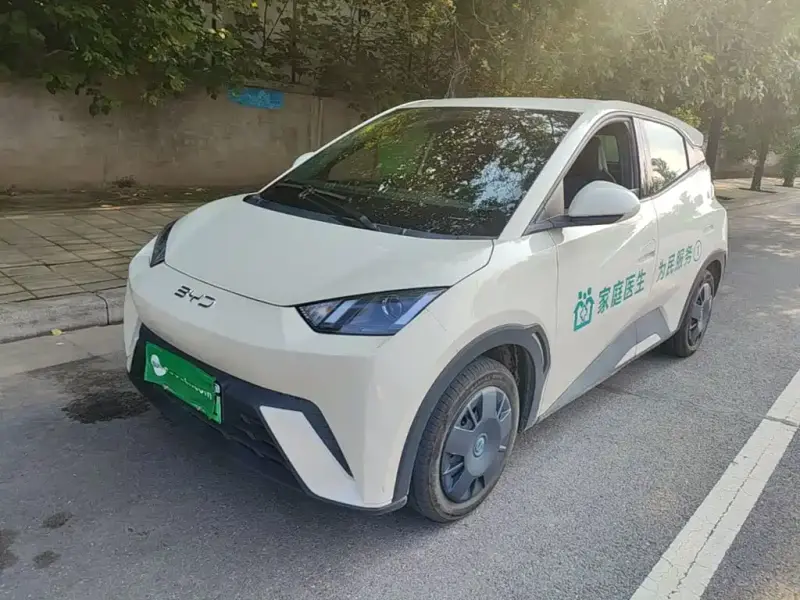 BYD Seagull