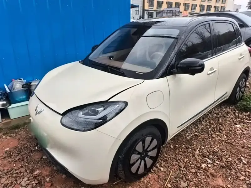 Wuling Bingo