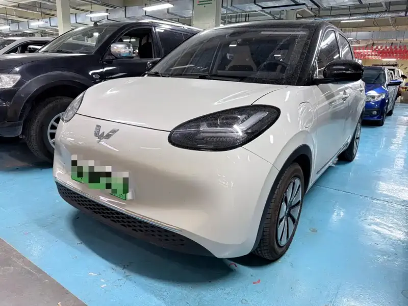 Wuling Bingo
