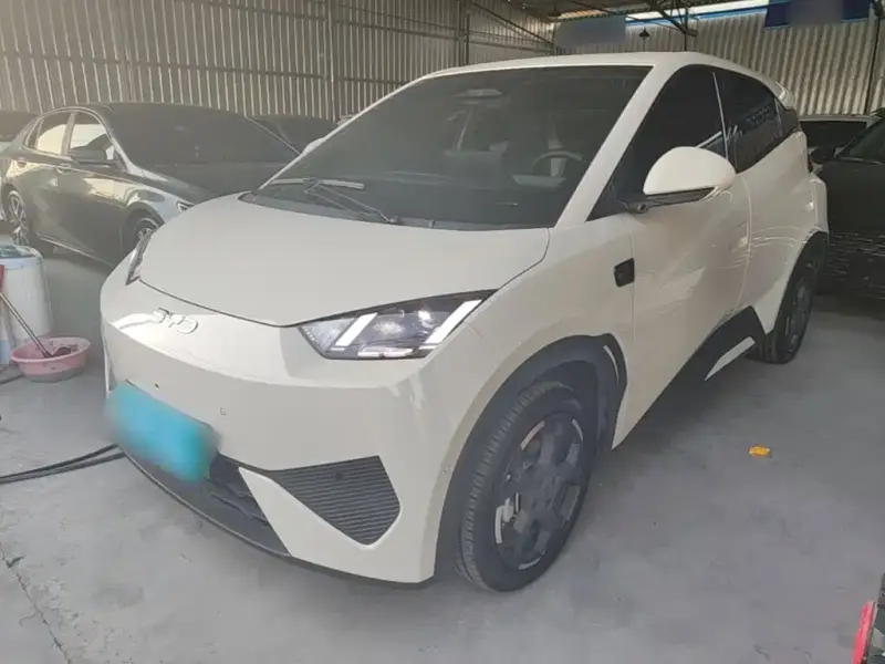 BYD Seagull