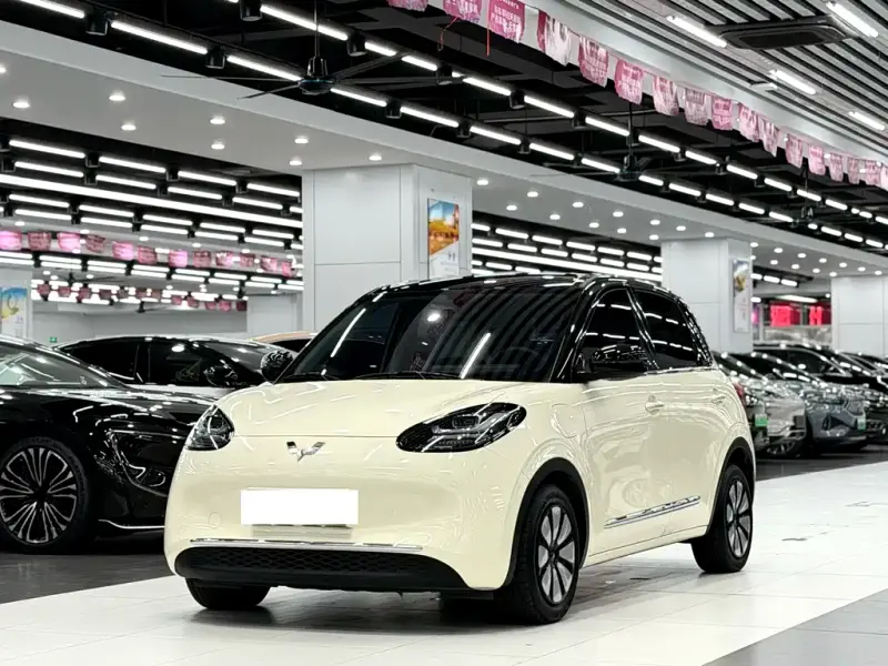 Wuling Bingo
