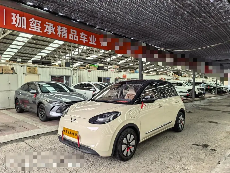 Wuling Bingo