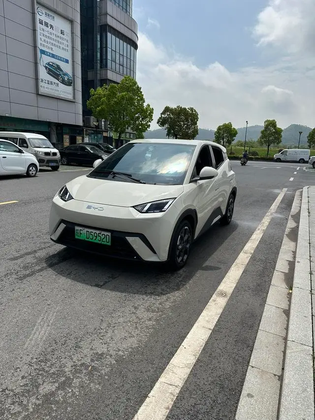 BYD Seagull