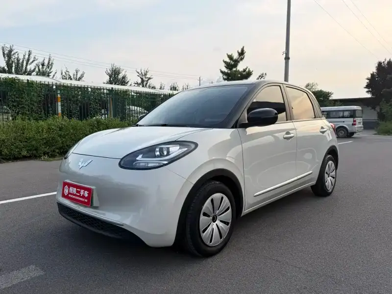 Wuling Bingo