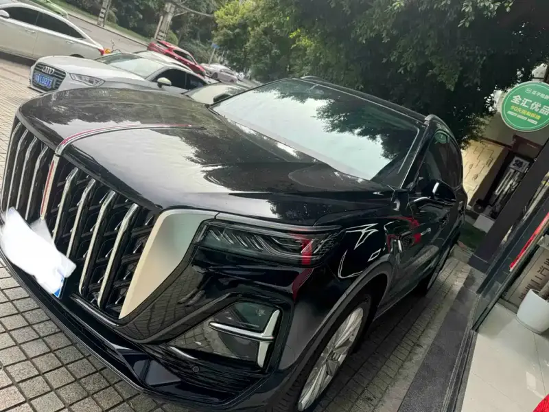 Hongqi HS5