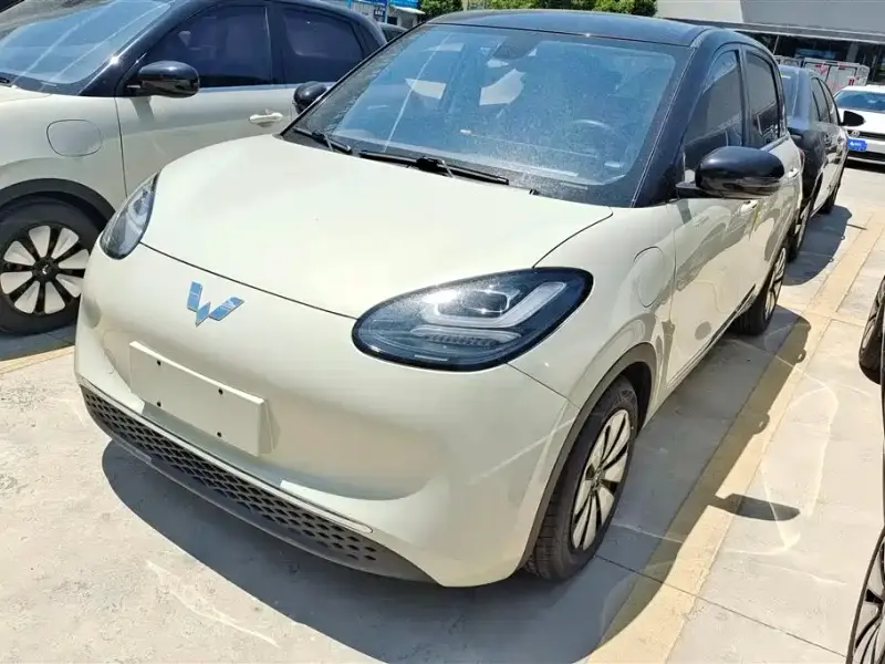 Wuling Bingo