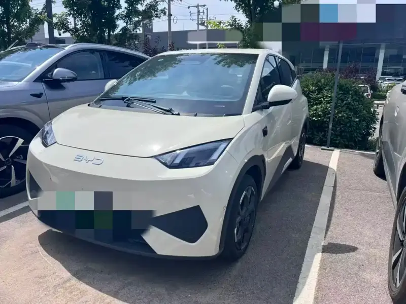 BYD Seagull
