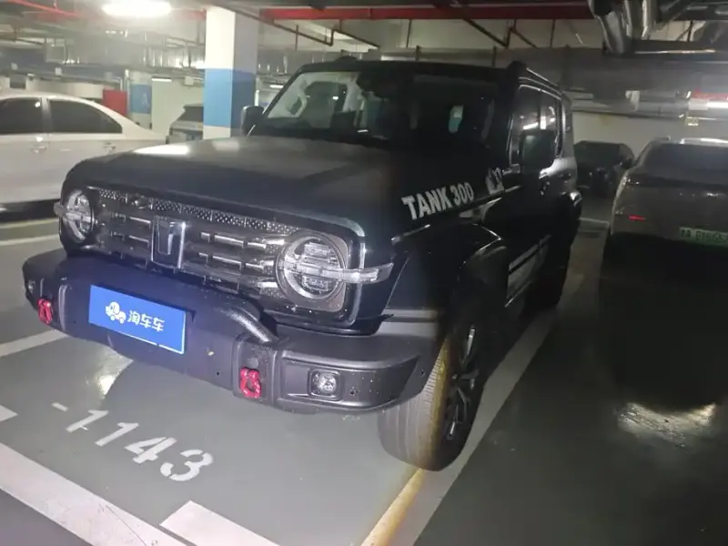 Tank 300