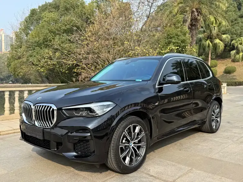 BMW X5 (Import)