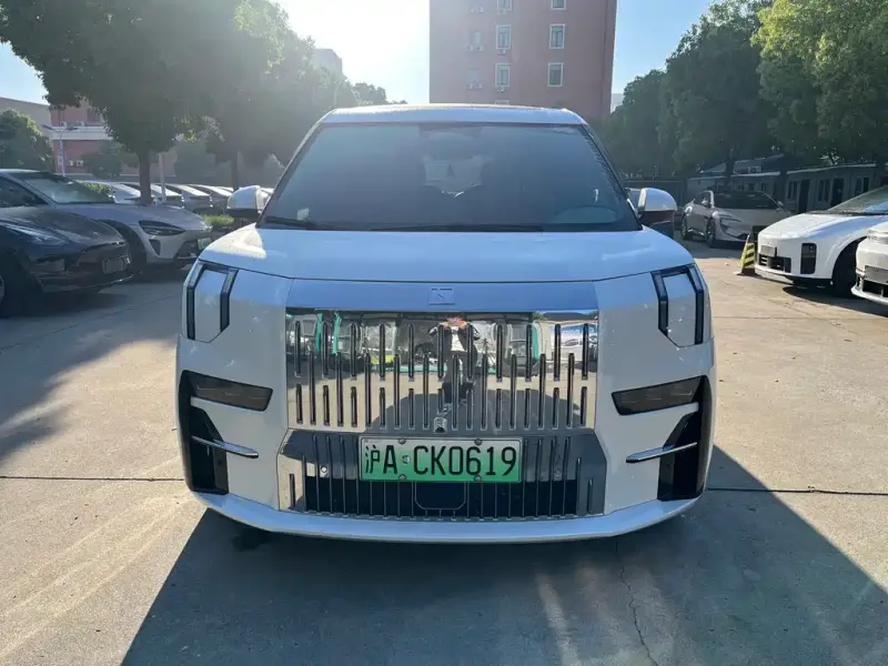 Zeekr 009