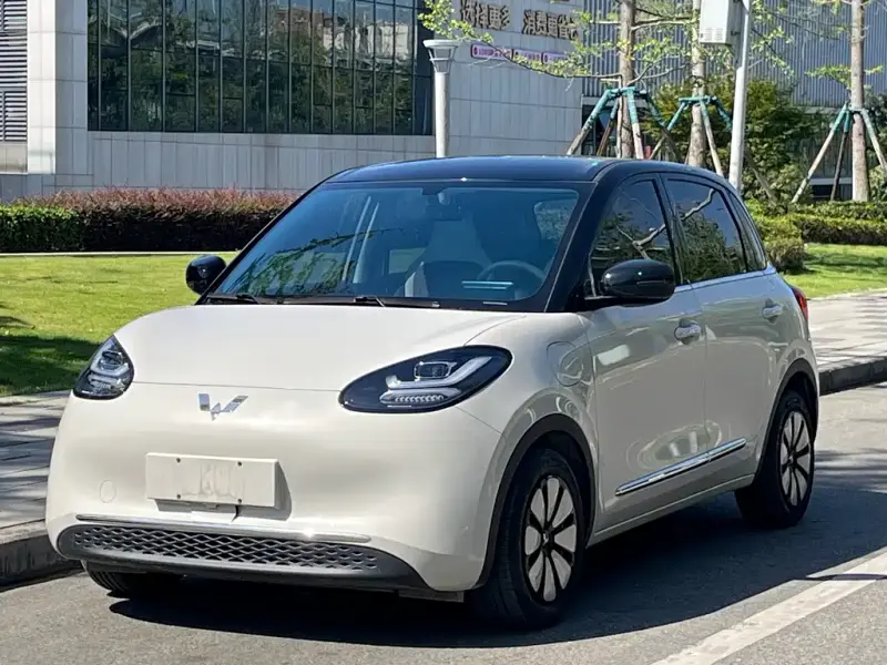 Wuling Bingo