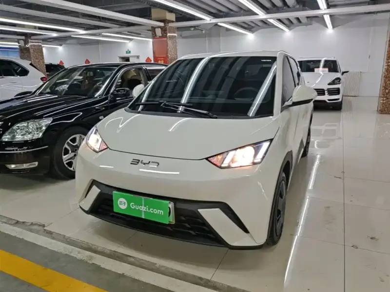 BYD Seagull