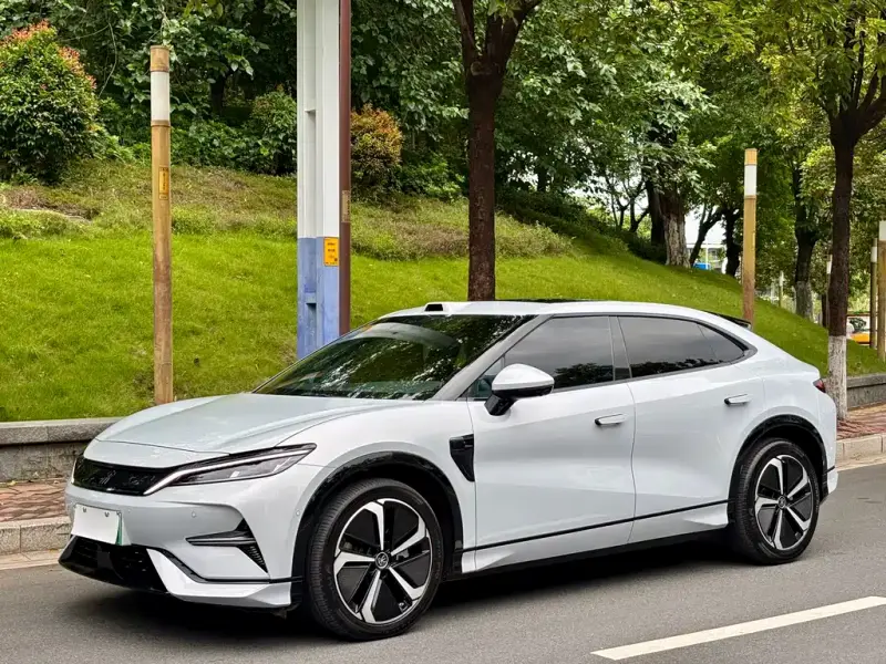 BYD L EV