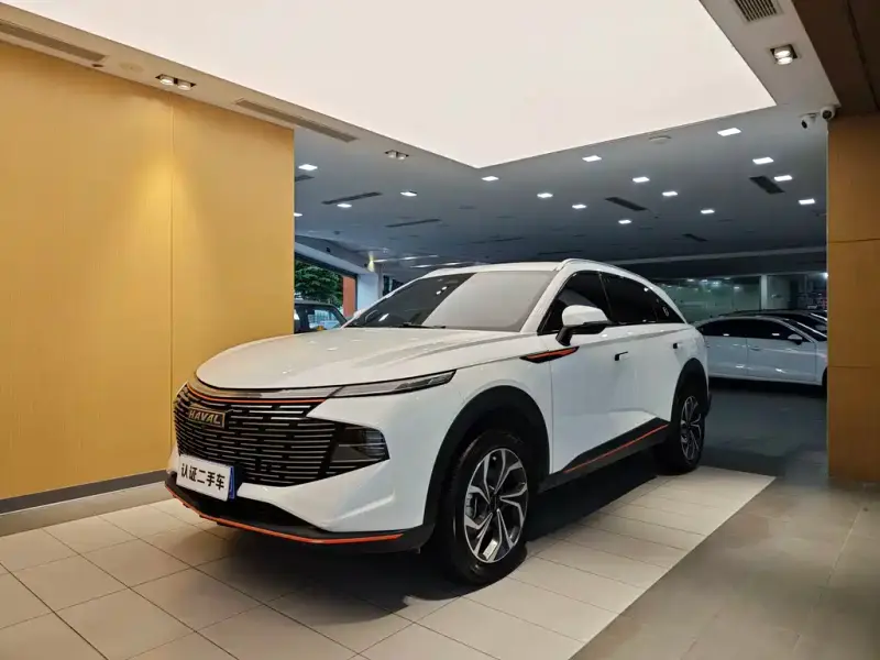 Haval Shenshou