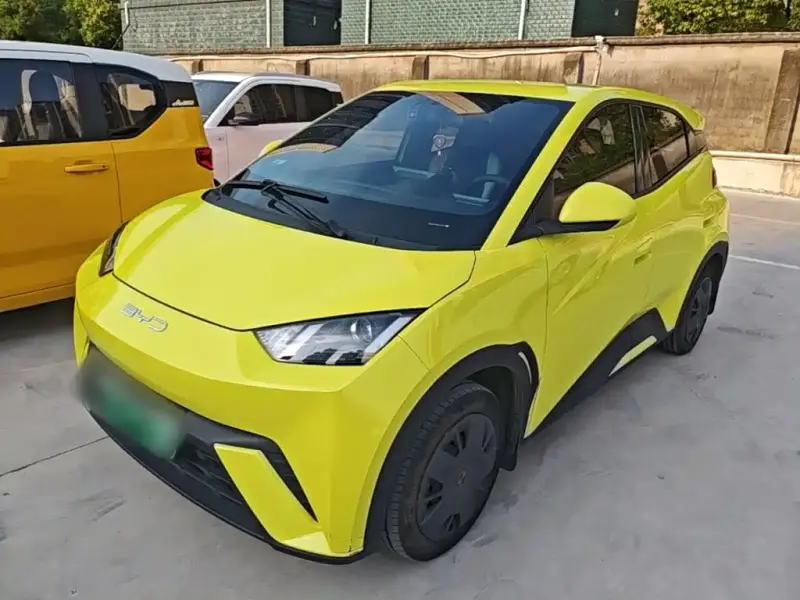 BYD Seagull