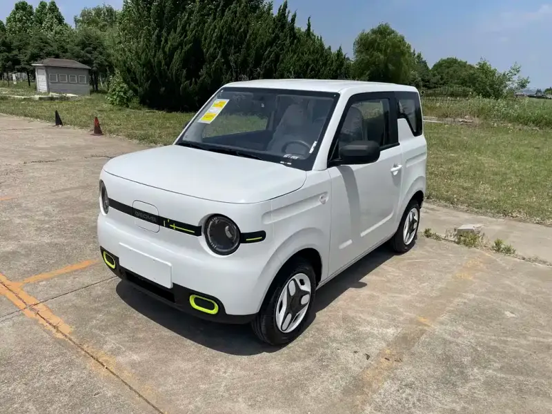 Galaxy Panda Mini (Panda)