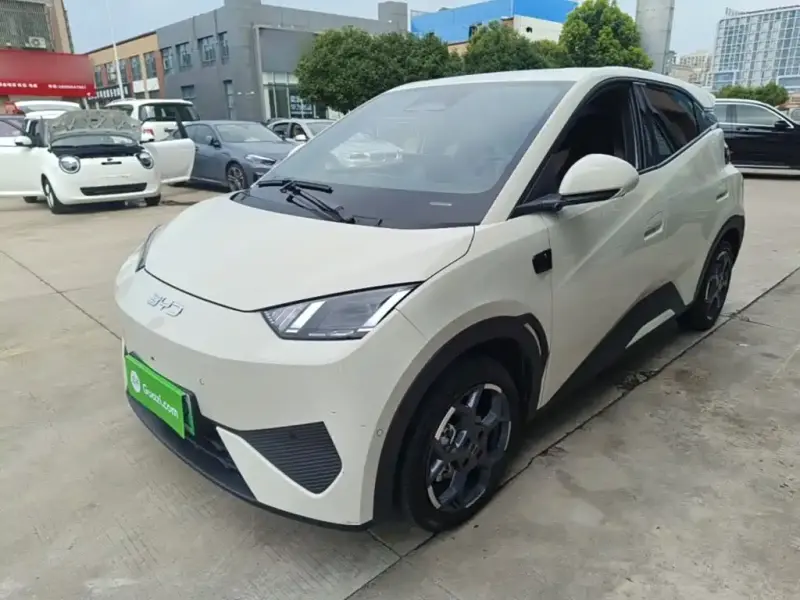 BYD Seagull